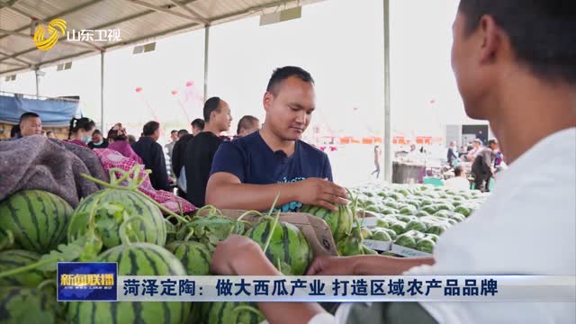 菏泽定陶：做大西瓜产业 打造区域农产品品牌