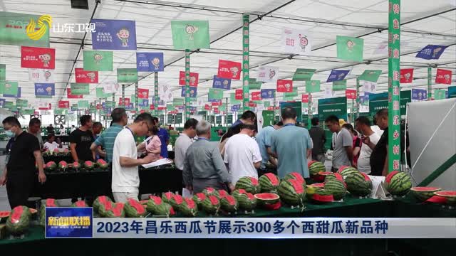 2023年昌乐西瓜节展示300多个西甜瓜新品种