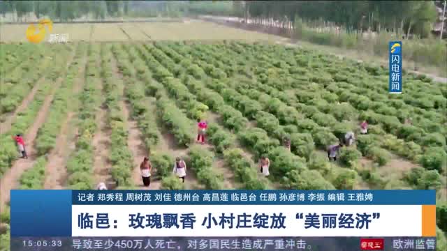 【打造乡村振兴齐鲁样板】临邑：玫瑰飘香 小村庄绽放“美丽经济”