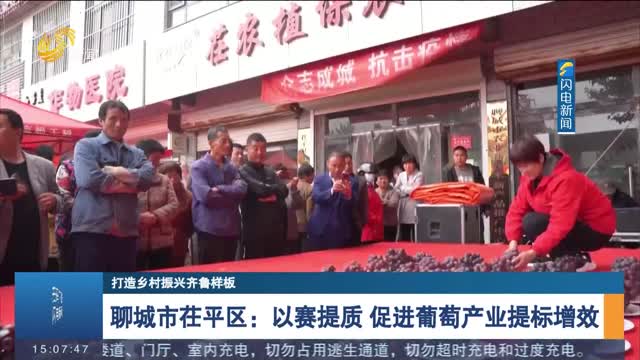 【打造乡村振兴齐鲁样板】聊城市茌平区：以赛提质 促进葡萄产业提标增效
