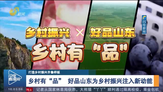 【打造乡村振兴齐鲁样板】乡村有“品” 好品山东为乡村振兴注入新动能