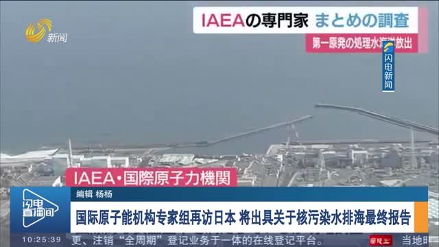国际原子能机构专家组再访日本 将出具关于核污染水排海最终报告