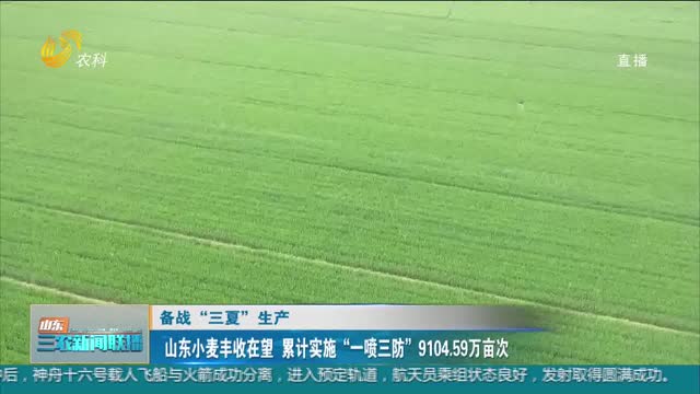 【备战“三夏”生产】山东小麦丰收在望 累计实施“一喷三防”9104.59万亩次