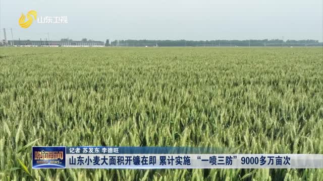 山东小麦大面积开镰在即 累计实施 “一喷三防”9000多万亩次