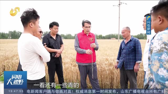 【三夏一线】菏泽市定陶区：农技服务送田间 三夏生产有保障
