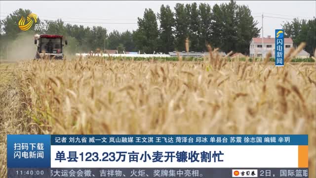单县123.23万亩小麦开镰收割忙