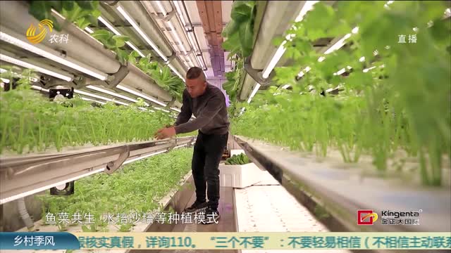 蔬菜种进集装箱 寿光农业“智慧”走向世界