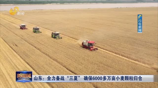 山东：全力备战“三夏” 确保6000多万亩小麦颗粒归仓