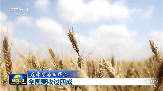 【在希望的田野上】全国麦收过四成