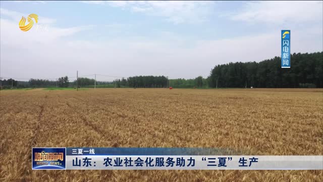 【三夏一线】山东：农业社会化服务助力“三夏”生产