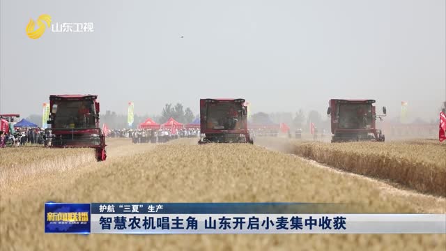 智慧农机唱主角 山东开启小麦集中收获【护航“三夏”生产】