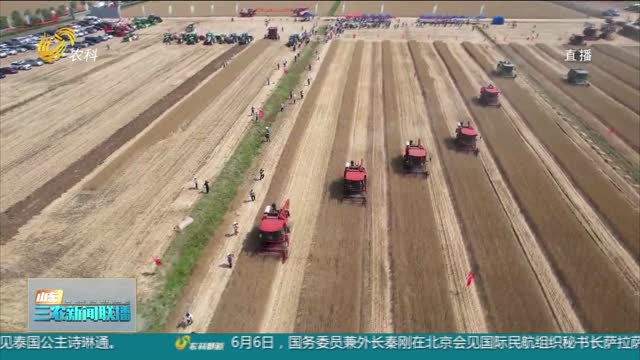 【“三夏”生产进行时】山东：6012万亩小麦开始大面积收获