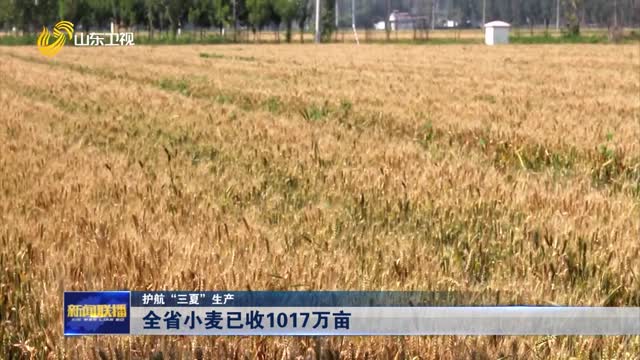 全省小麦已收1017万亩【护航“三夏”生产】