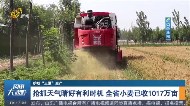 【护航“三夏”生产】抢抓天气晴好有利时机 全省小麦已收1017万亩