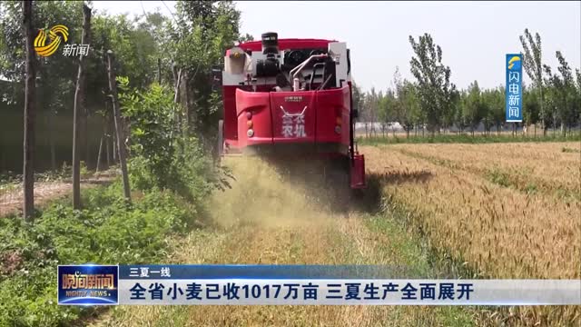 【三夏一线】全省小麦已收1017万亩 三夏生产全面展开