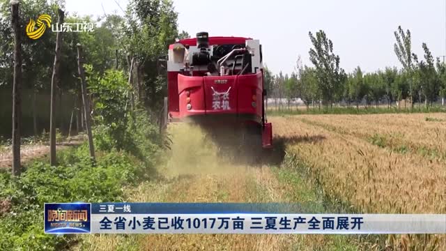 【三夏一线】全省小麦已收1017万亩 三夏生产全面展开
