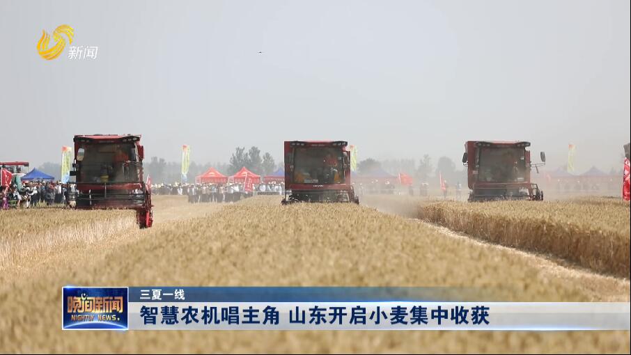 【三夏一线】智慧农机唱主角 山东开启小麦集中收获