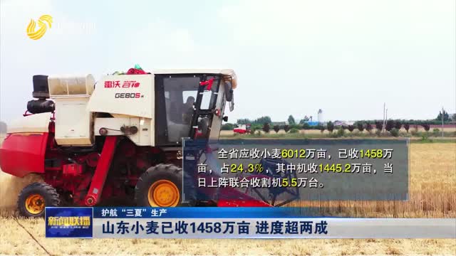 山东小麦已收1458万亩 进度超两成【护航“三夏”生产】