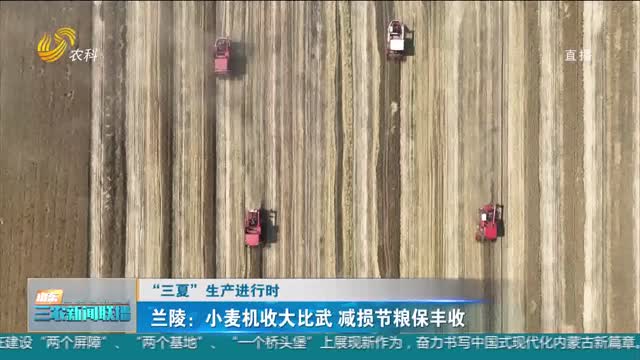【“三夏”生产进行时】兰陵：小麦机收大比武 减损节粮保丰收