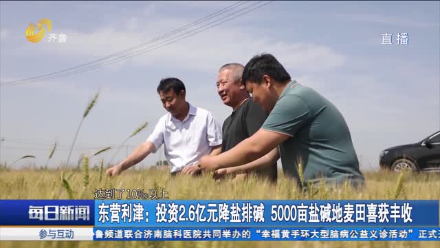东营利津：投资2.6亿元降盐排碱 5000亩盐碱地麦田喜获丰收
