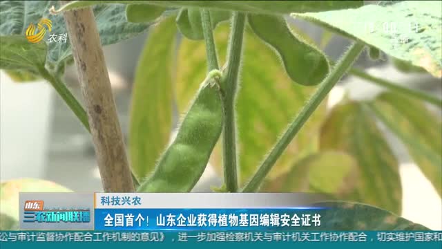 【科技兴农】全国首个！山东企业获得植物基因编辑安全证书