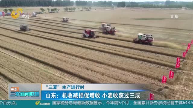 【“三夏”生产进行时】山东：机收减损促增收 小麦收获过三成