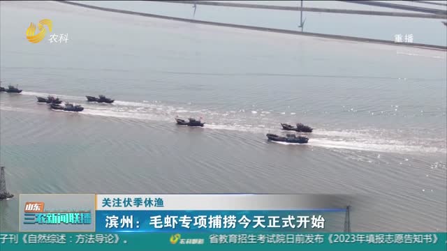 【关注伏季休渔】滨州：毛虾专项捕捞今天正式开始