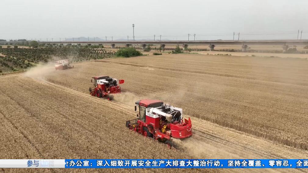 短暂降雨不影响麦收 全省麦收“进度条”已过半