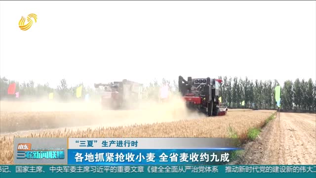 【“三夏”生产进行时】各地抓紧抢收小麦 全省麦收约九成