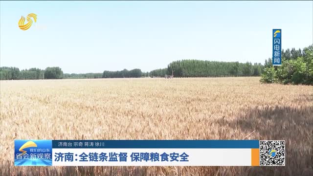济南：全链条监督 保障粮食安全