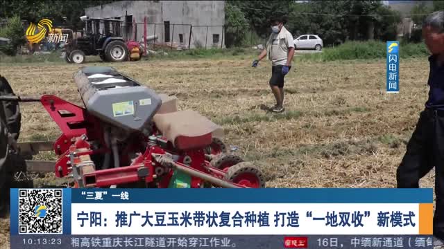 【“三夏”一线】宁阳：推广大豆玉米带状复合种植 打造“一地双收”新模式
