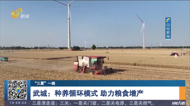 【“三夏”一线】武城：种养循环模式 助力粮食增产