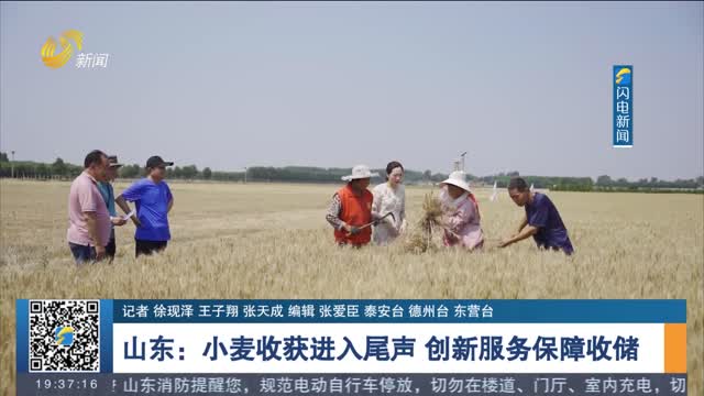 【“三夏”一线】山东：小麦收获进入尾声 创新服务保障收储