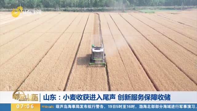 【“三夏”一线】山东：小麦收获进入尾声 创新服务保障收储