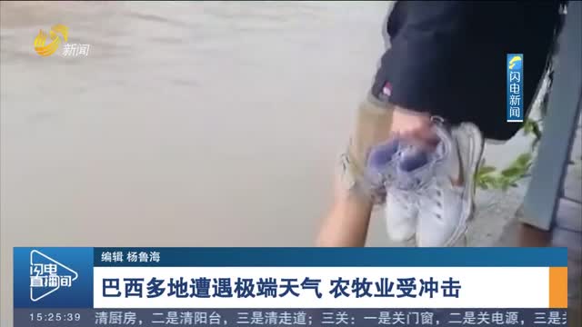 巴西多地遭遇极端天气 农牧业受冲击