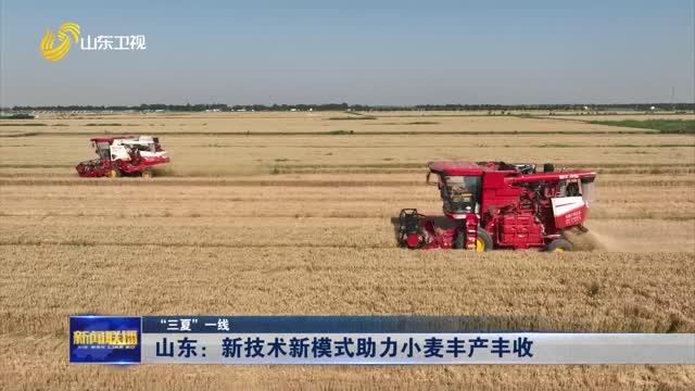山东：新技术新模式助力小麦丰产丰收【“三夏”一线】