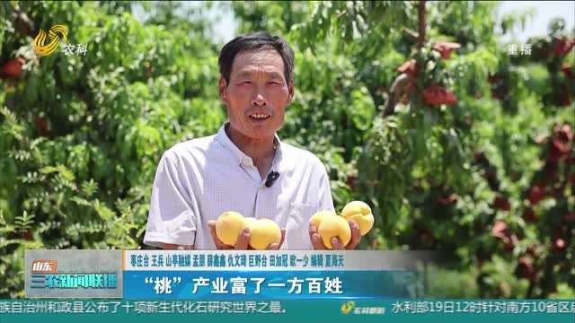 【助力农民增收】“桃”产业富了一方百姓
