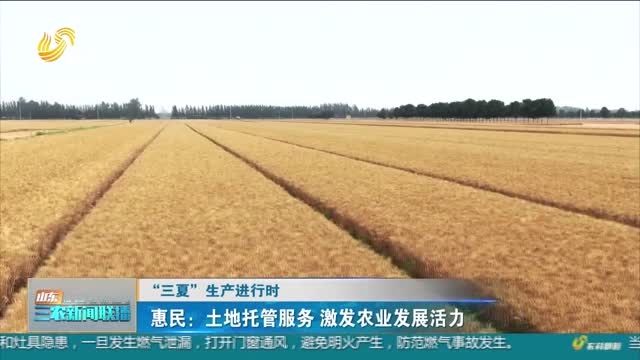 【“三夏”生产进行时】惠民：土地托管服务 激发农业发展活力
