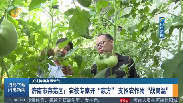 【关注持续高温天气】济南市莱芜区：农技专家开“凉方” 支招农作物“战高温”