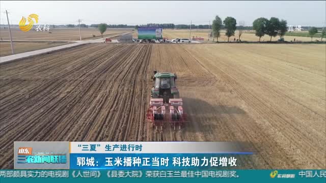 【“三夏”生产进行时】郓城：玉米播种正当时 科技助力促增收