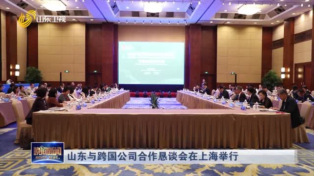 山东与跨国公司合作恳谈会在上海举行