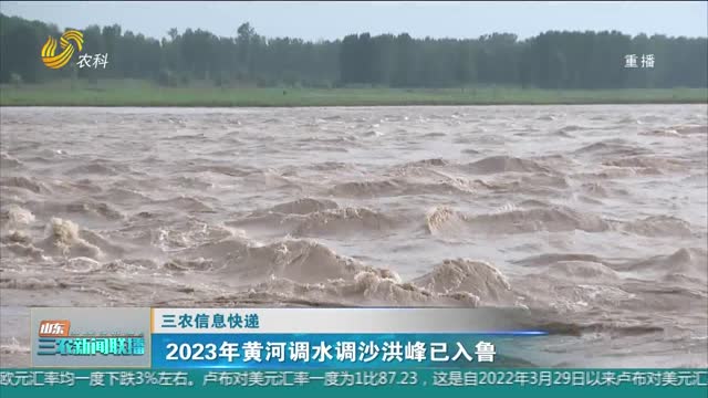 【三农信息快递】2023年黄河调水调沙洪峰已入鲁