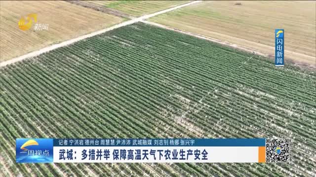 武城：多措并举 保障高温天气下农业生产安全