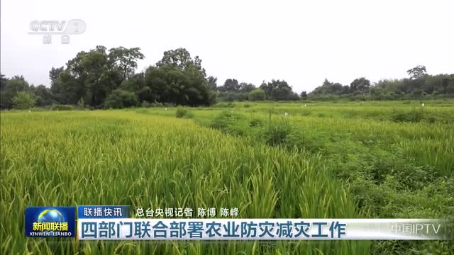 【联播快讯】四部门联合部署农业防灾减灾工作