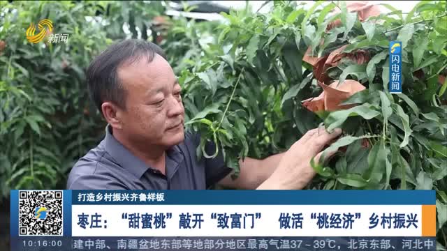 【打造乡村振兴齐鲁样板】枣庄：“甜蜜桃”敲开“致富门” 做活“桃经济”乡村振兴