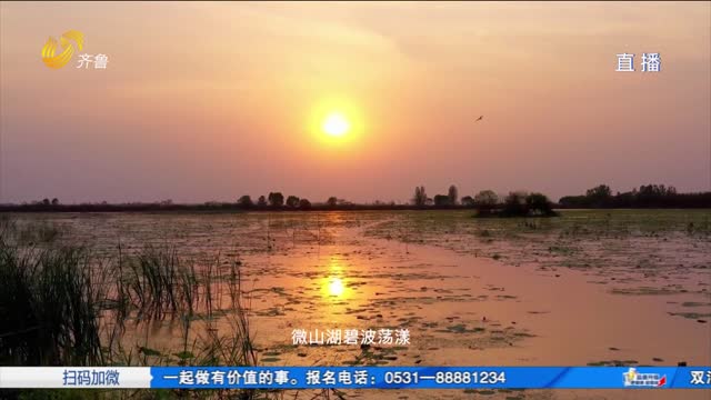 寻黄河情·品家香味：济宁炸荷花