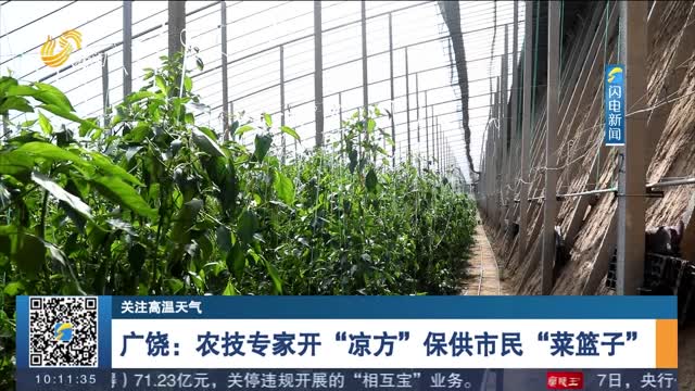 【关注高温天气】广饶：农技专家开“凉方”保供市民“菜篮子”