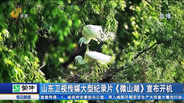 山东卫视传媒大型纪录片《微山湖》宣布开机
