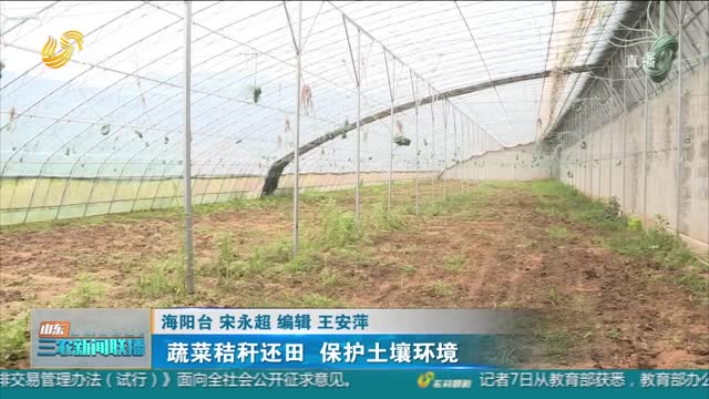 【科技兴农】蔬菜秸秆还田 保护土壤环境