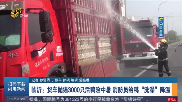 【第一现场】临沂：货车抛锚3000只活鸭险中暑 消防员给鸭“洗澡”降温